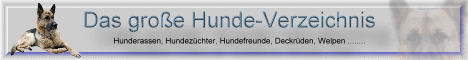 Alle Hunde Banner