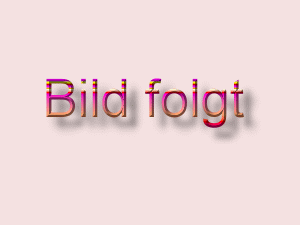 Bild folgt